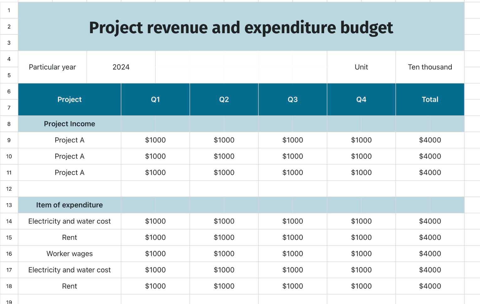 Project revenue and expenditure budget